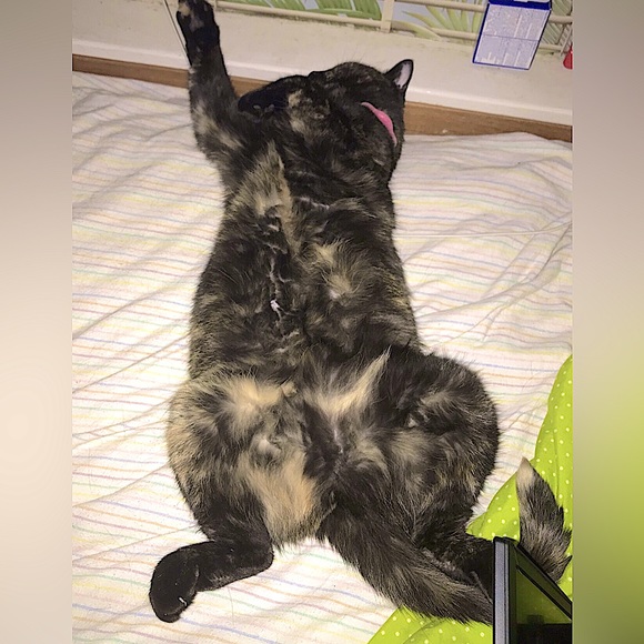 Meet your Posher, Wendy Wethington @tortabella - Picture 17 of 17